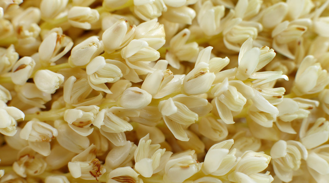 date palm flower LOUTSWEI flower essences