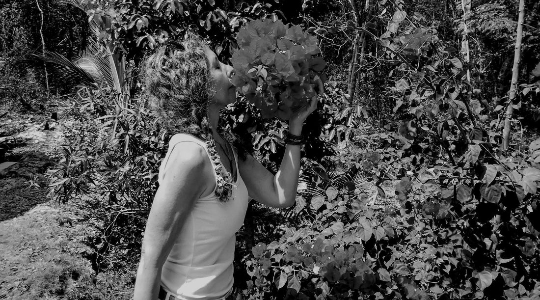 MENOPAUSE + SACRED LIFE CYCLES