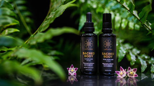 SUPPORT YOUR SACRED BODY