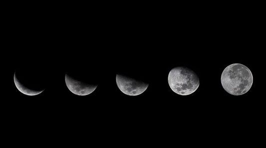 2020 ASTROLOGICAL OVERVIEW: MOONSHINE LUNAR FORECAST