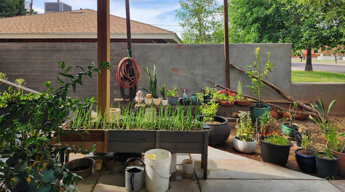 MY FIRST ADVENTURE PLANTING SEEDS