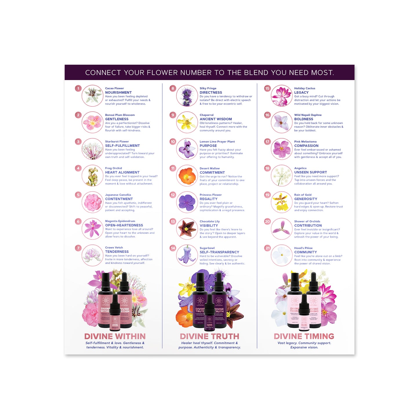 Pick a Flower Card for the Divine Series