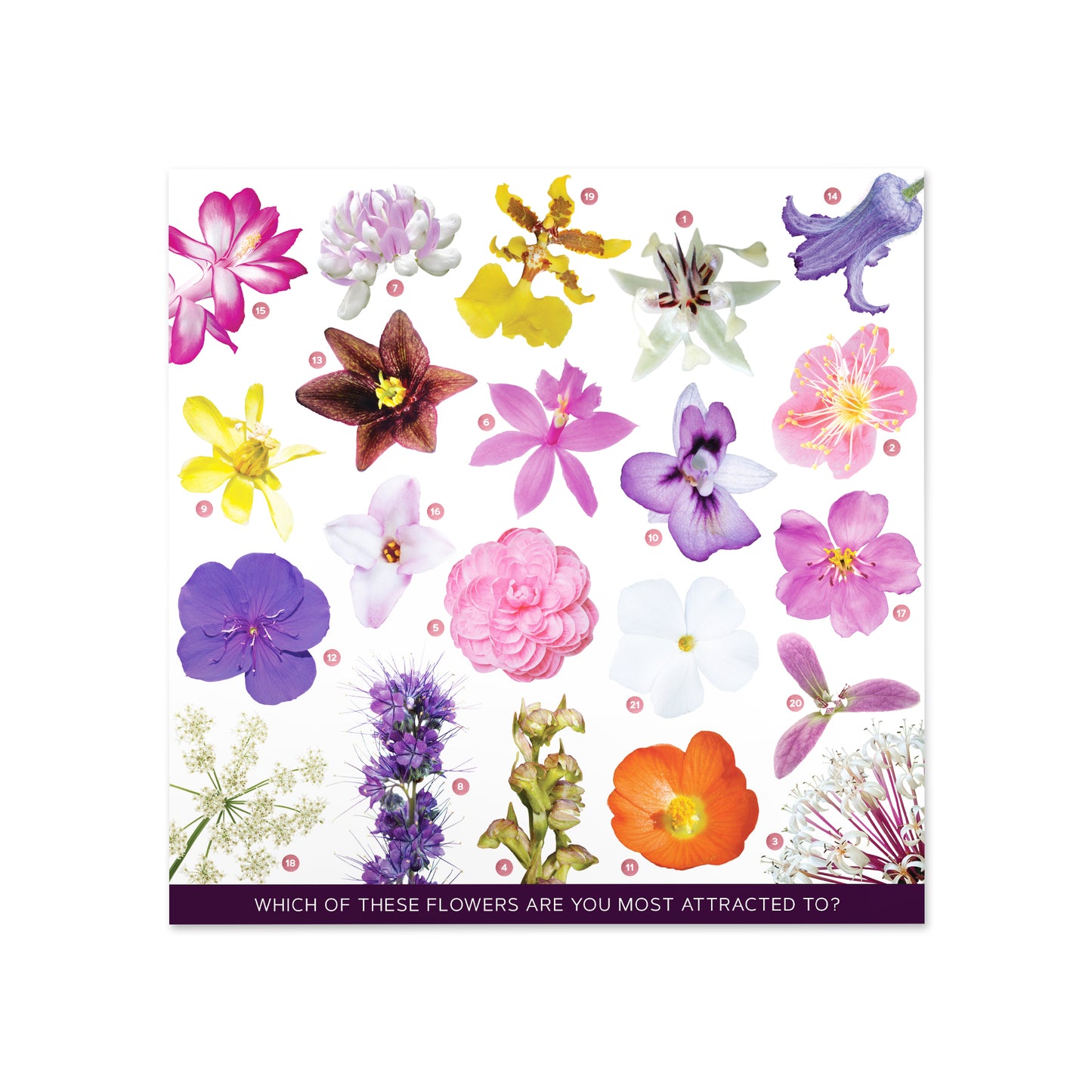 Pick a Flower Card for the Divine Series