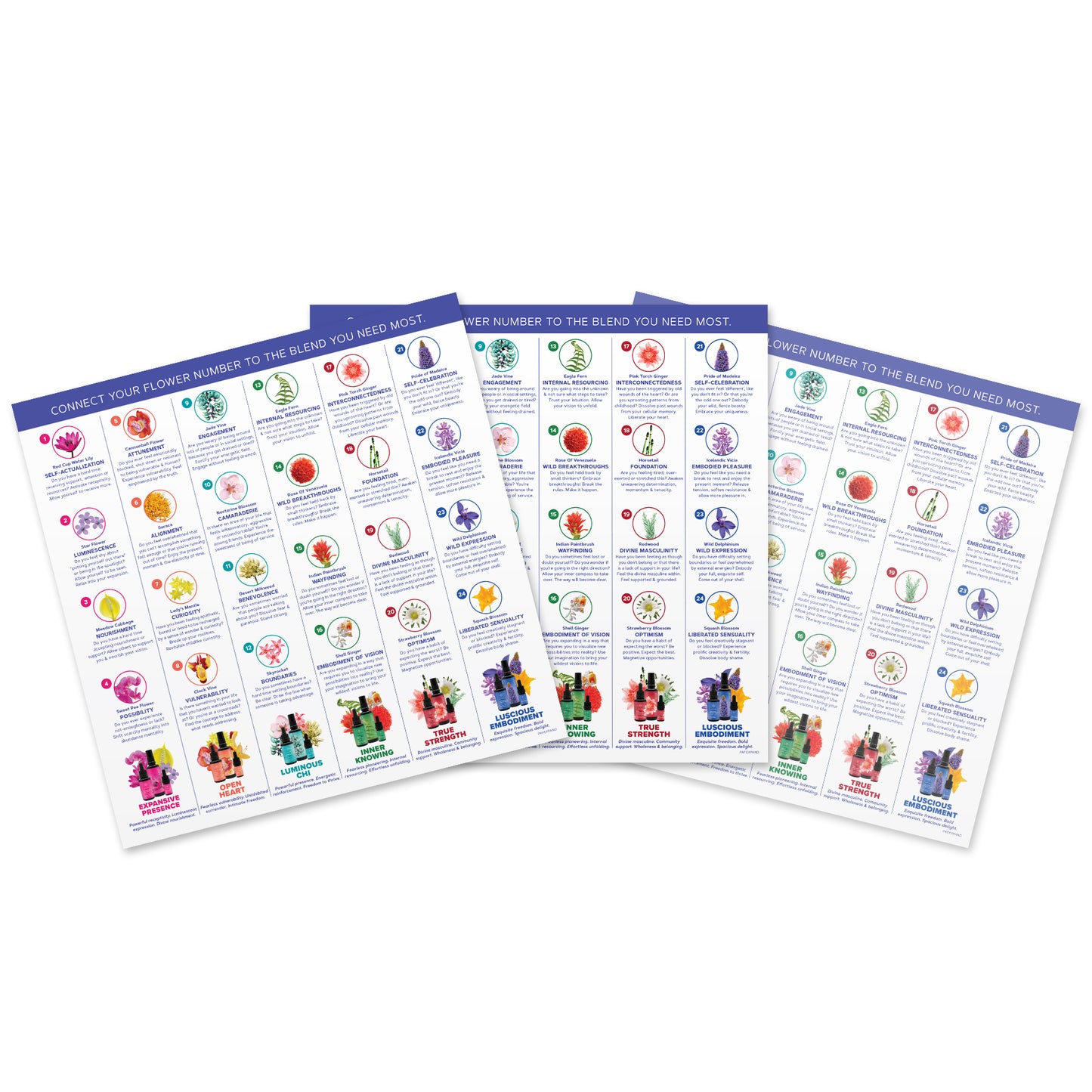3-Pack: Expansion Pick-A-Flower Cards