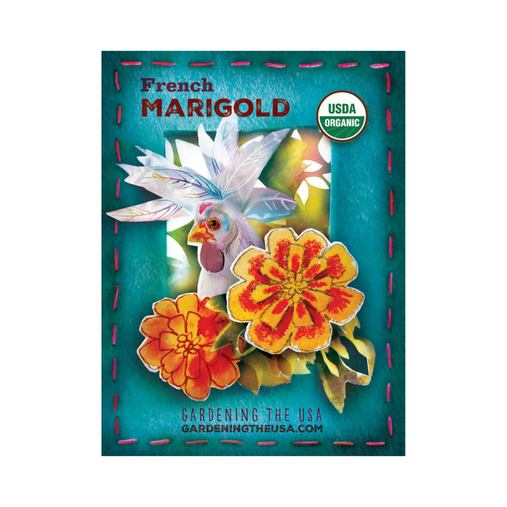 organic marigold seeds French Marigold Seeds