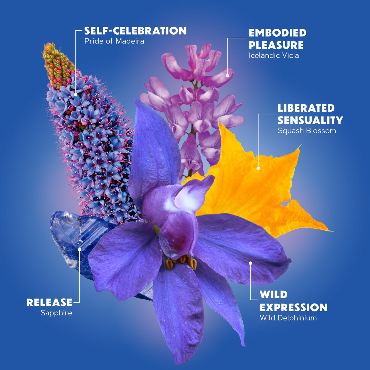 Luscious Embodiment ingredients collage: Pride of Madeira, Squash Blossom and Wild Delphinium, each with its quality labeled.