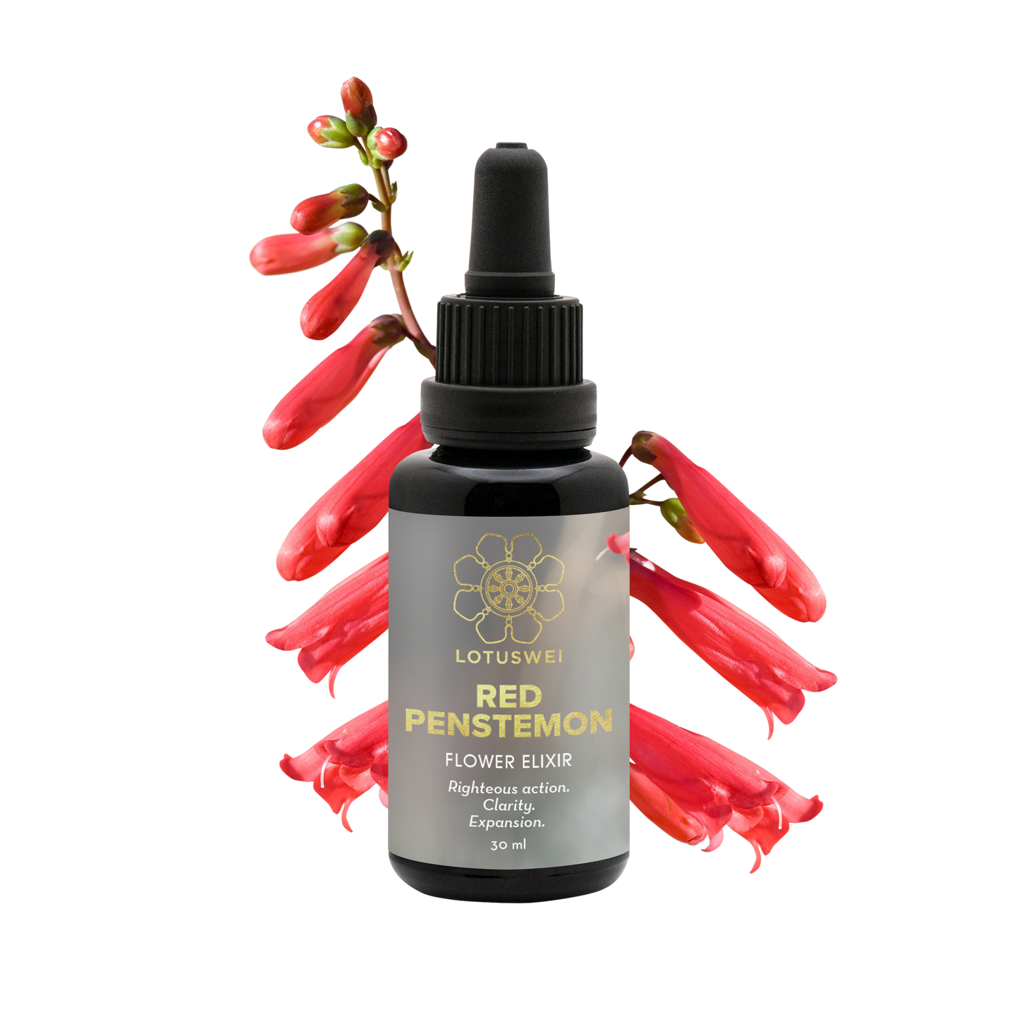 Red Penstemon Flower Elixir