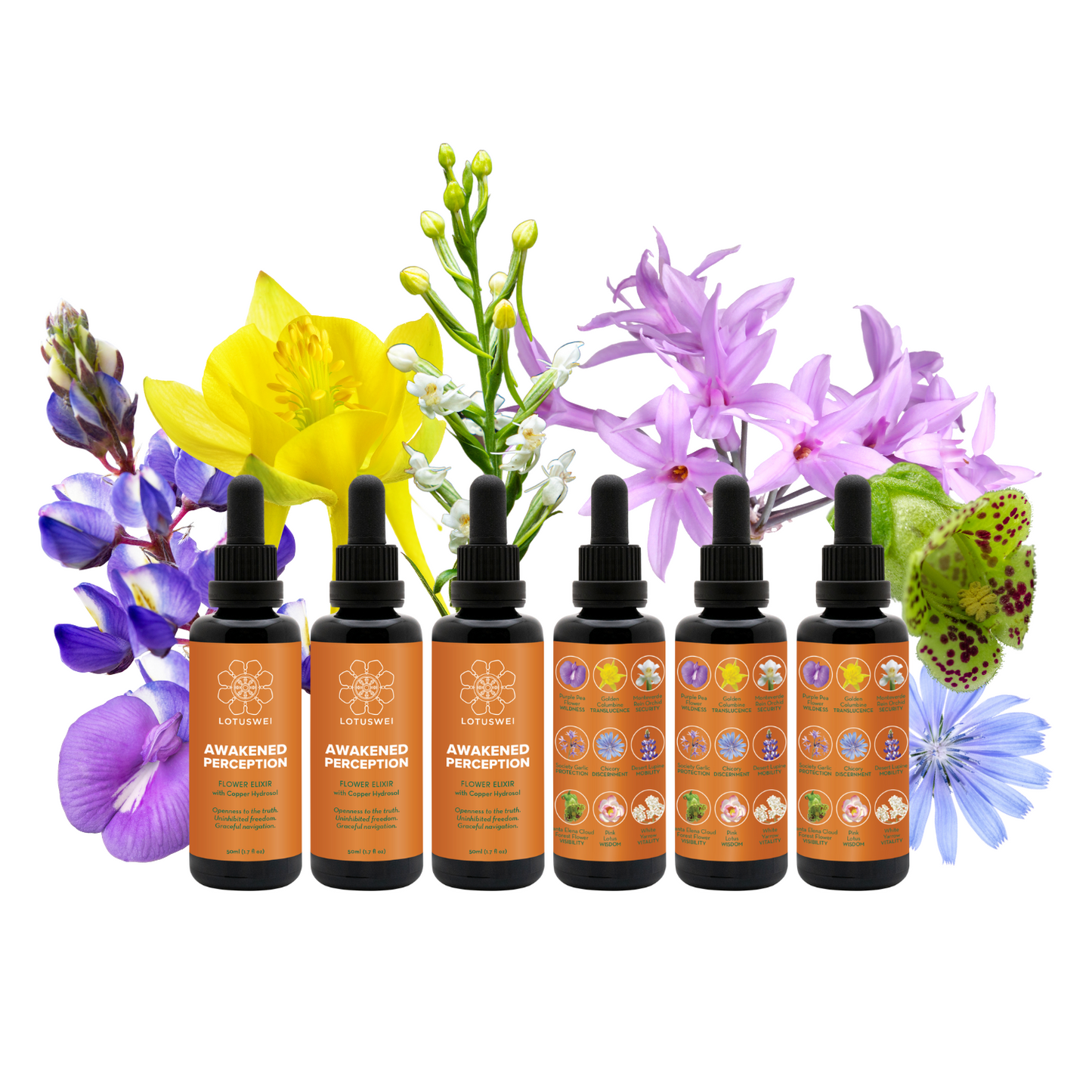 AWAKENED PERCEPTION COLLECTION - MIST, ELIXIRS
