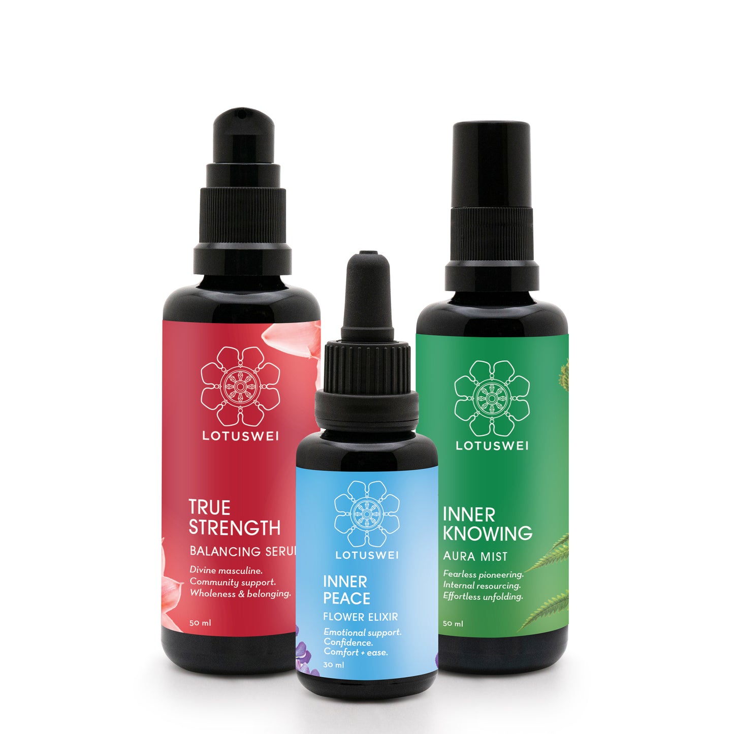 MENS TRIO REGIMEN