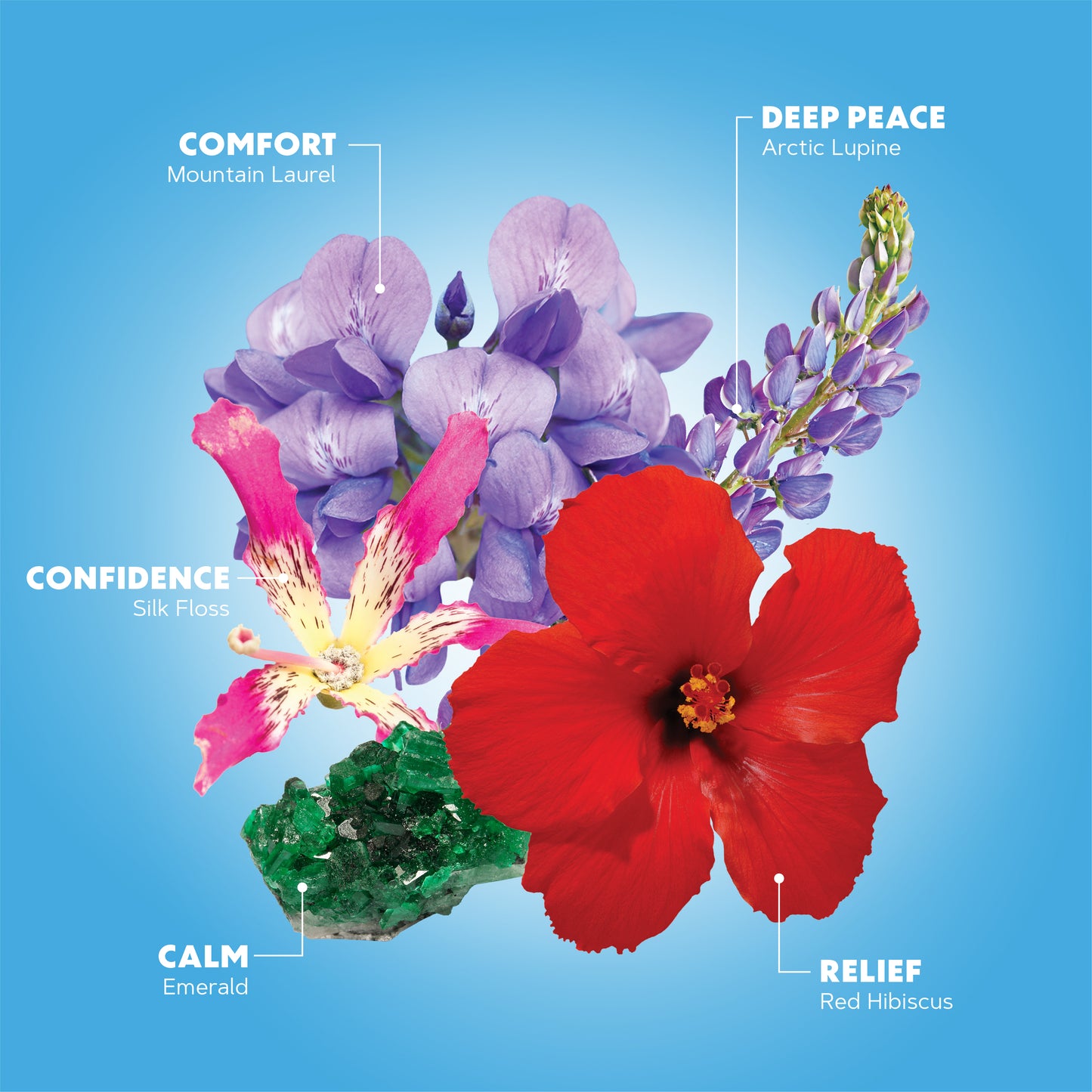 CALM: 3 ON-THE-GO-MISTS