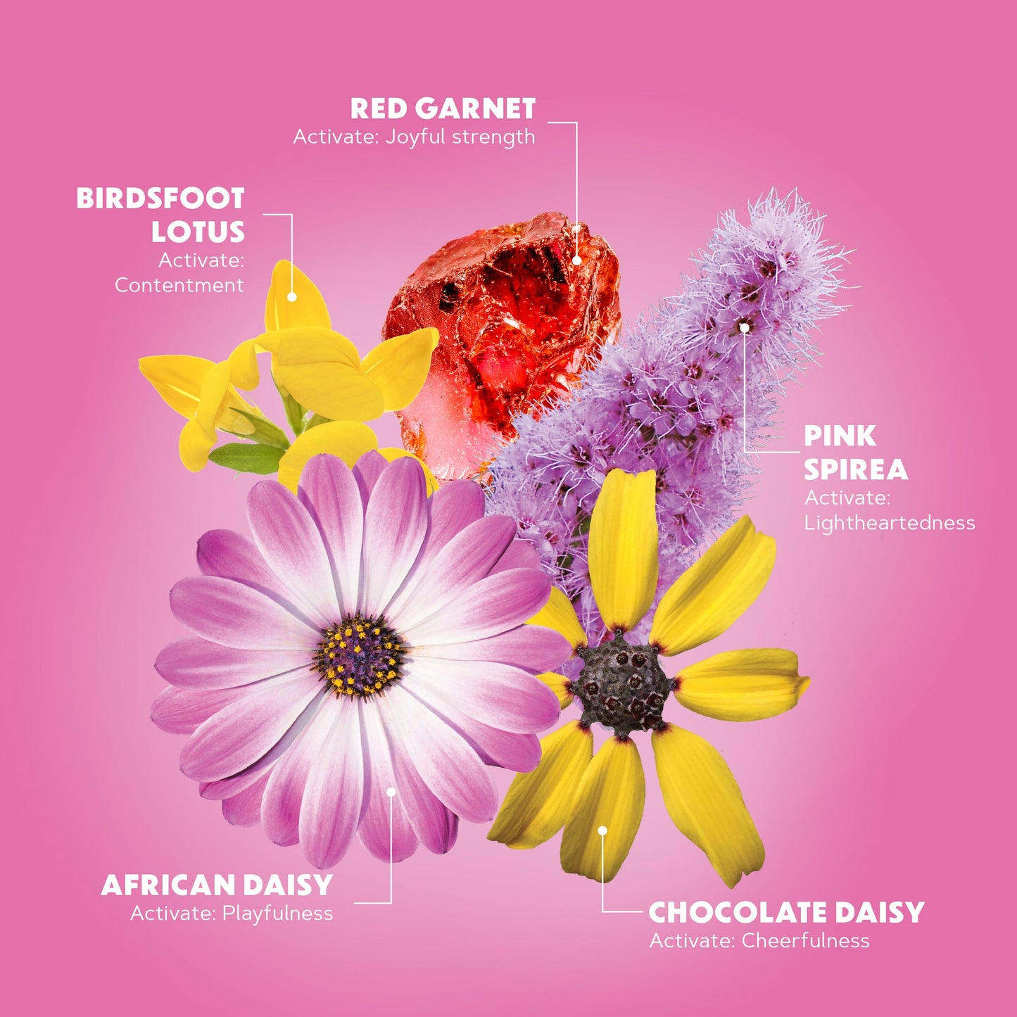 Joy Juice Pet Elixir