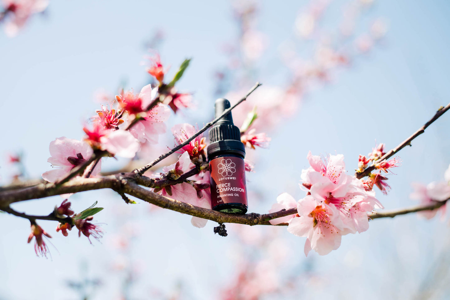 LOVE Everywhere ~ Anointing Oil Kit