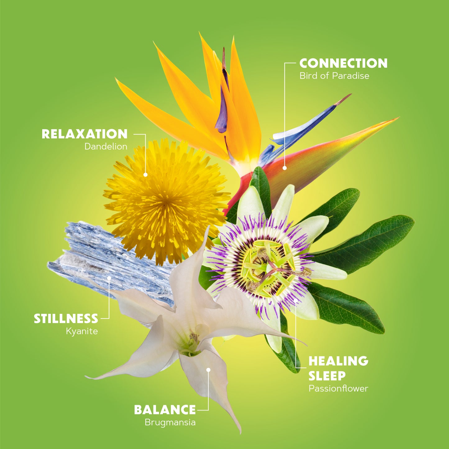 CALM: 3 ON-THE-GO-MISTS