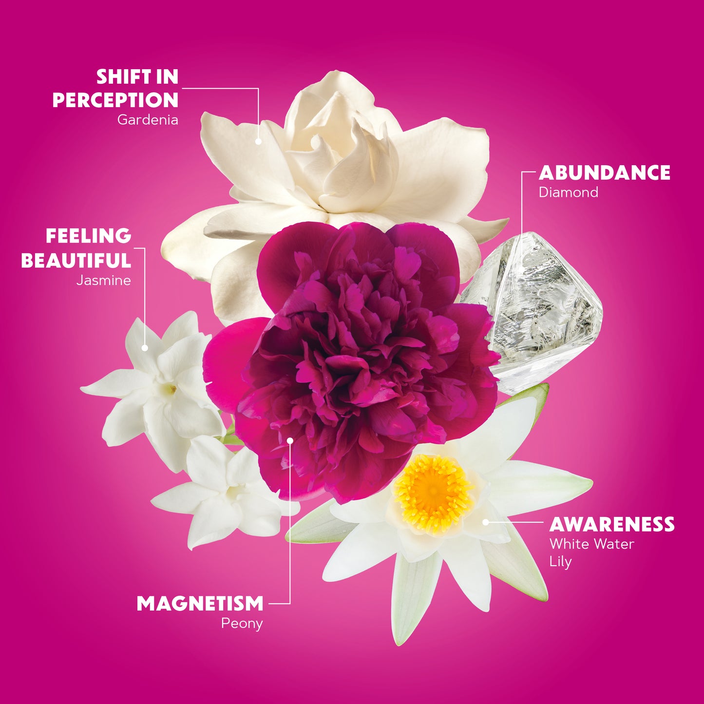 Wild Abundance flower and gem collage: gardenia, peony, white water lily and diamond, each labeled with its meaning