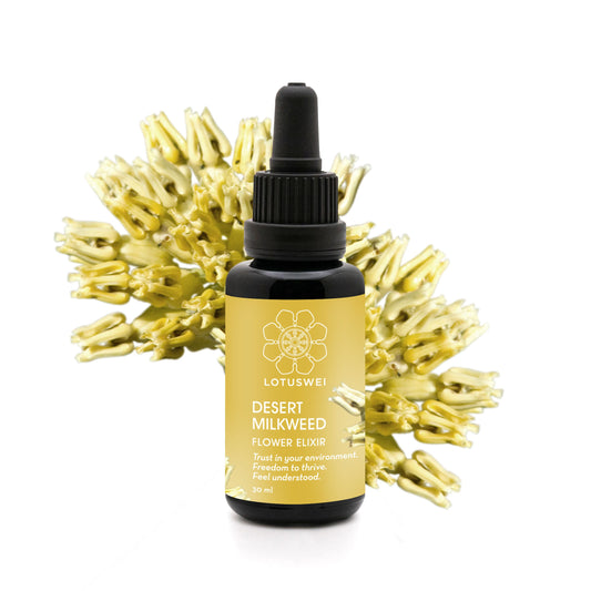 Desert Milkweed Elixir