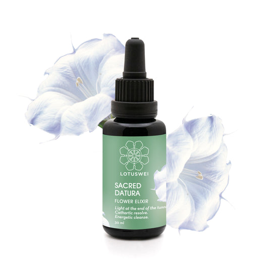 Sacred Datura Flower Elixir