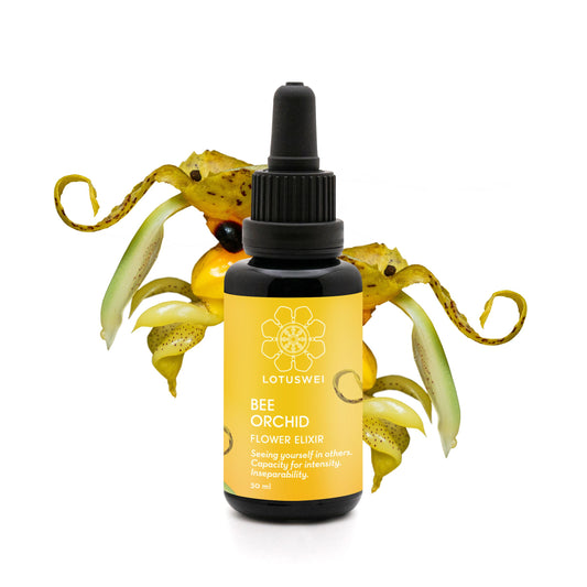 Bee Orchid Elixir