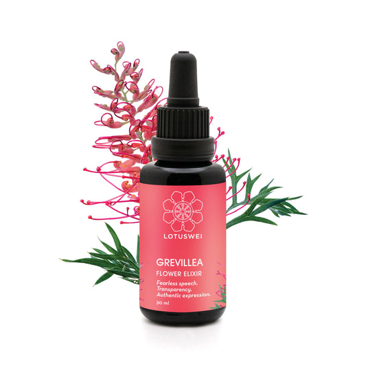 Grevillea Elixir
