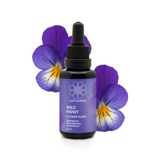 Wild Pansy Elixir
