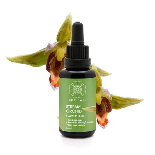 Stream Orchid Elixir