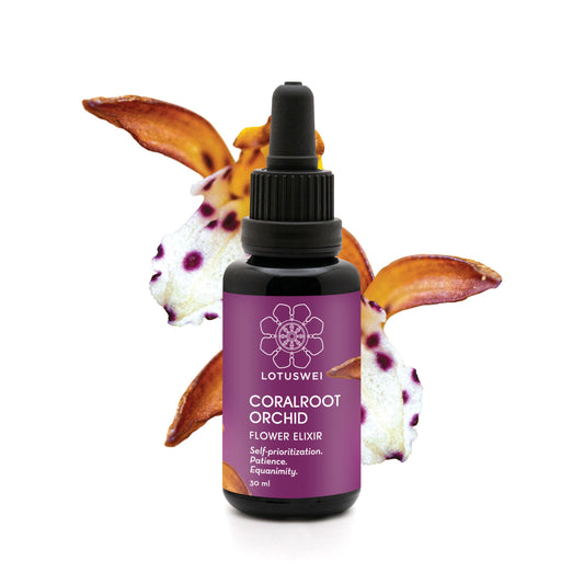 Coralroot Orchid Elixir