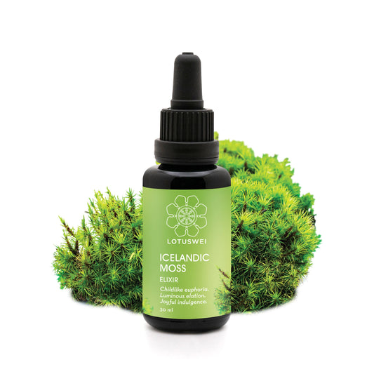Icelandic Moss Elixir