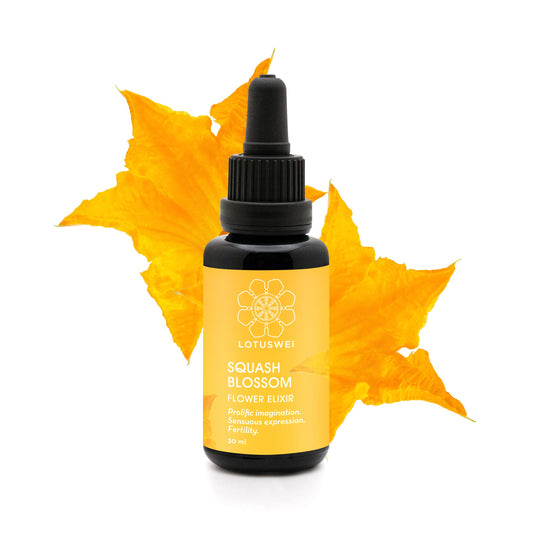 Squash Blossom Elixir
