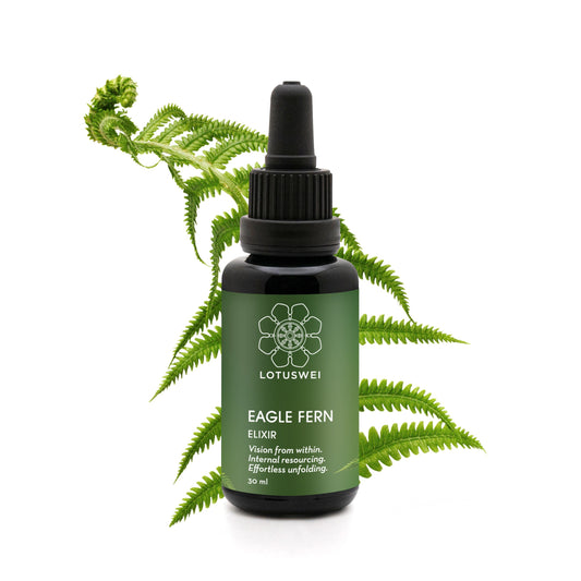 Eagle Fern Elixir