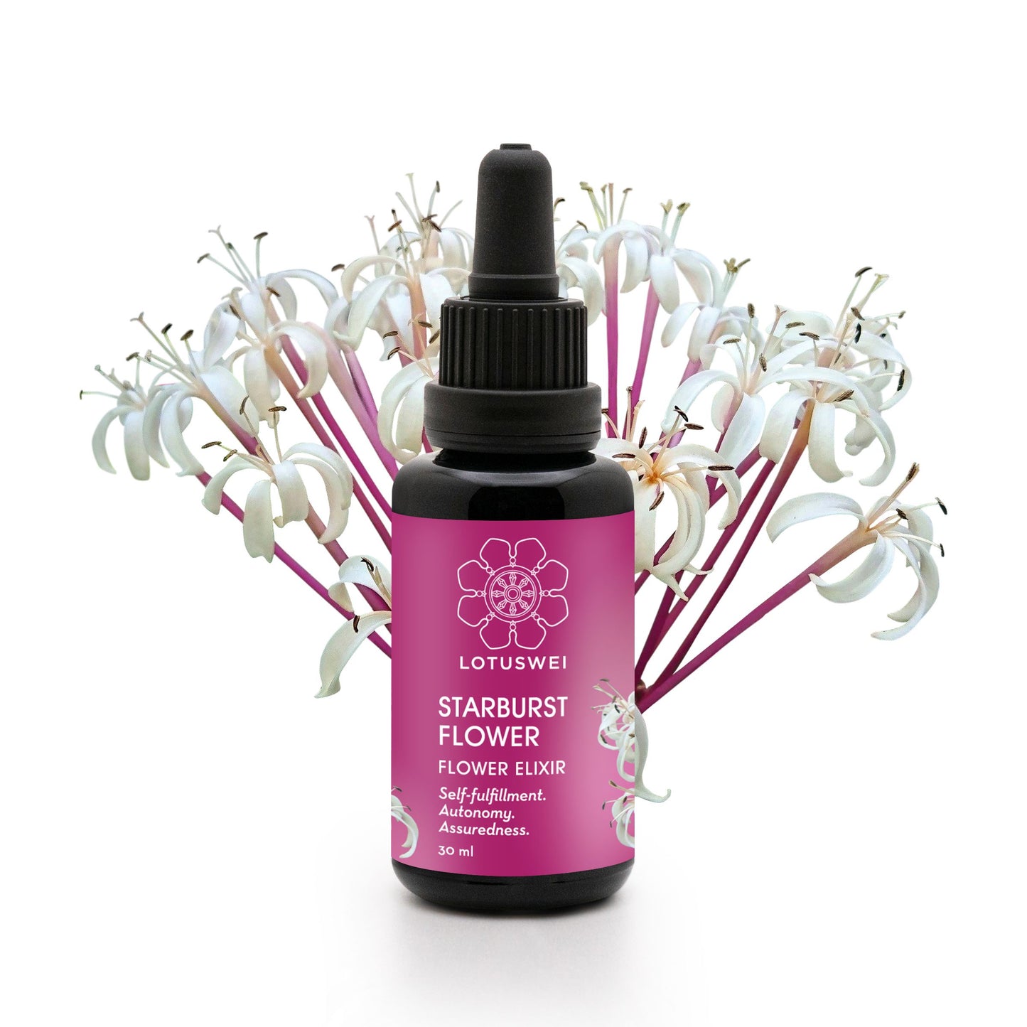 Starburst Flower Elixir