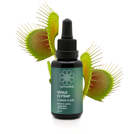 Venus Flytrap Flower Elixir