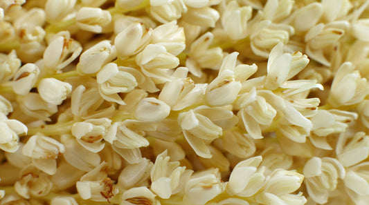date palm flower LOUTSWEI flower essences
