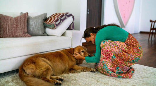FLOWER ESSENCES & HOLISTIC HEALING FOR PETS