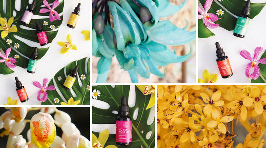 flowerevolution LOTUSWEI flower essences