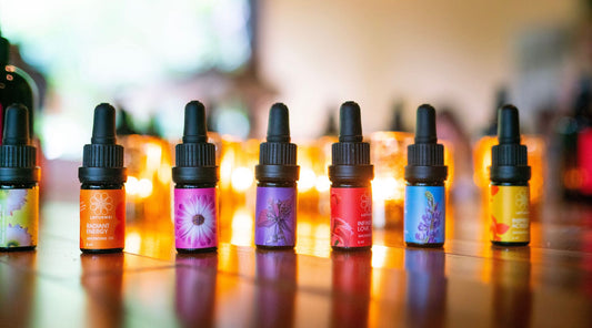 TRANSFORMATIVE ANOINTING OILS