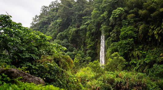 {TAIWAN} THE MAGIC OF CENTRAL TAIWAN