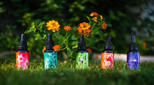 Flower Essences on a grassy lawn