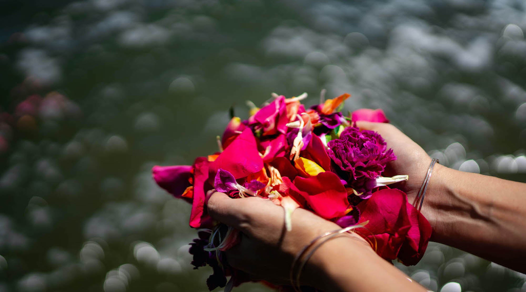 Offeing Roses HOW TO DO A FLOWER OFFERING: Acts of Intention – LOTUSWEI