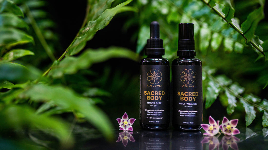SUPPORT YOUR SACRED BODY