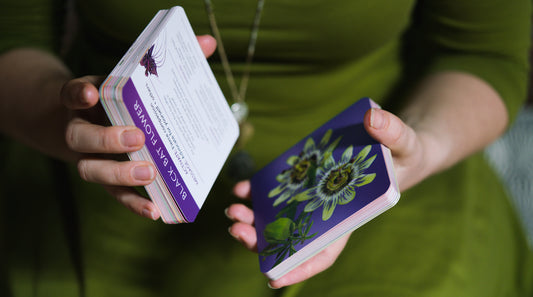 black bat flower flowerevolution card deck LOTUSWEI flower essences