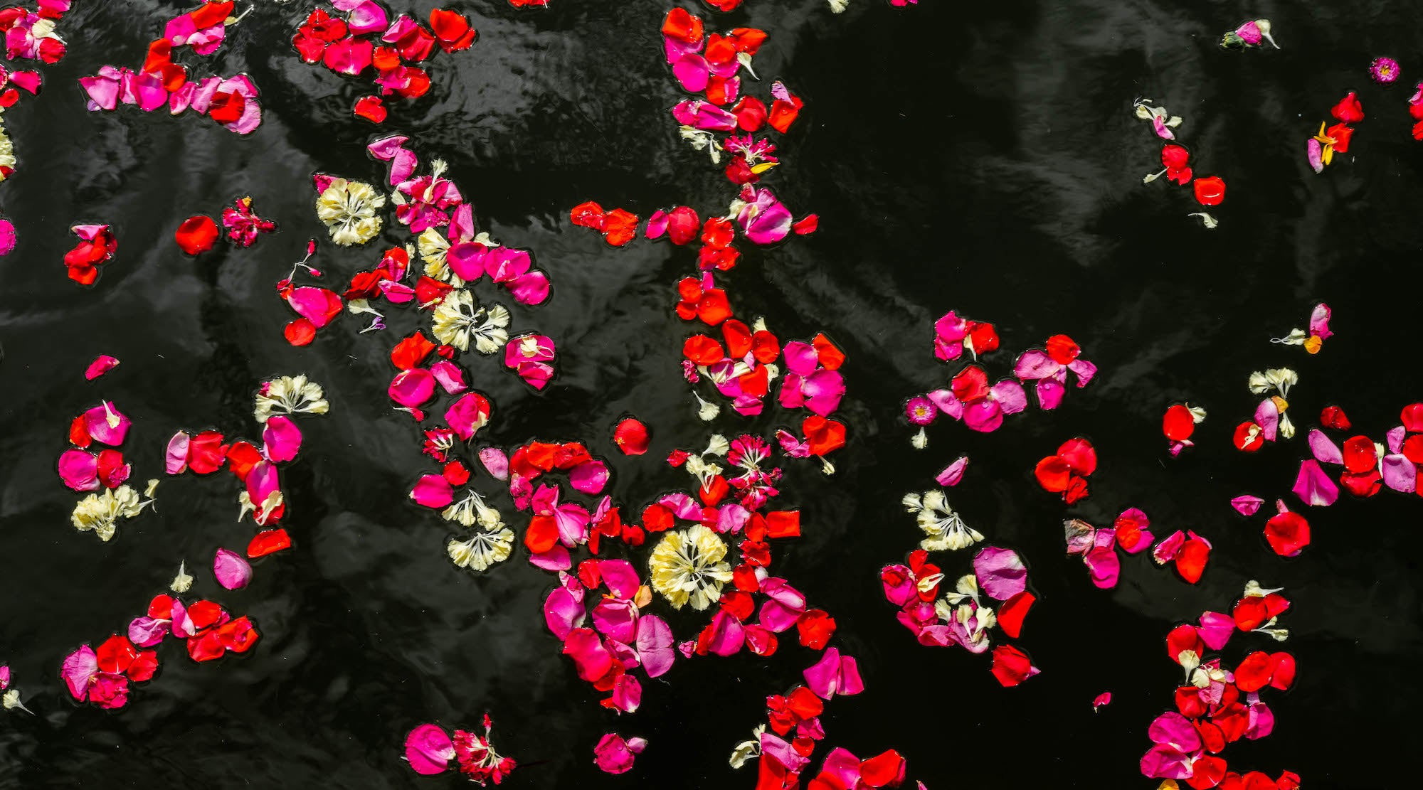 WORLDWIDE FLOWER OFFERINGS