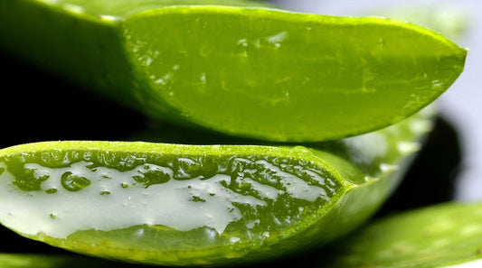 HOW TO USE ALOE VERA IN UNCONVENTIONAL WAYS