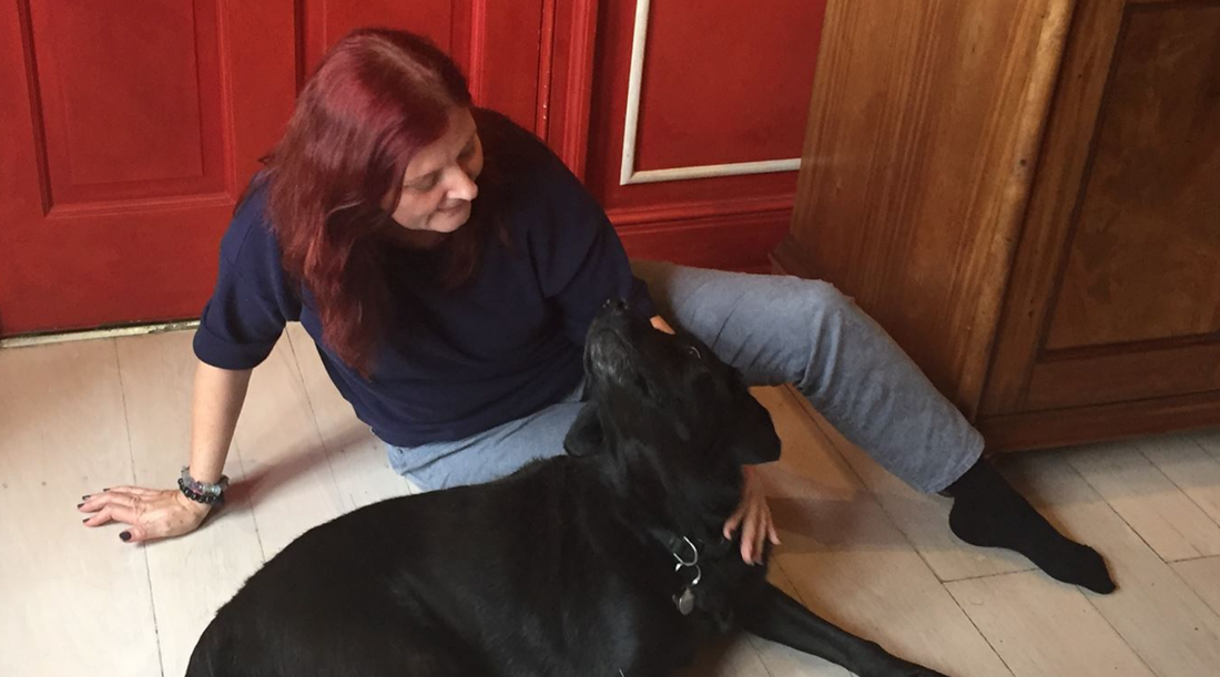 HOLISTIC HEALING FOR PETS