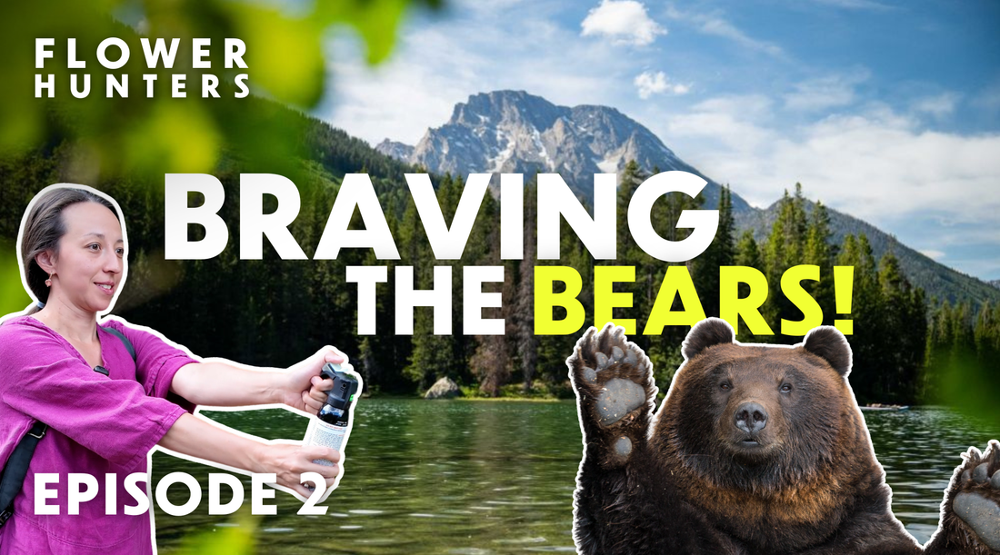 FLOWER HUNTERS: Orchids, Vanlife & Bears in the Grand Tetons | Season 1 Episode 2