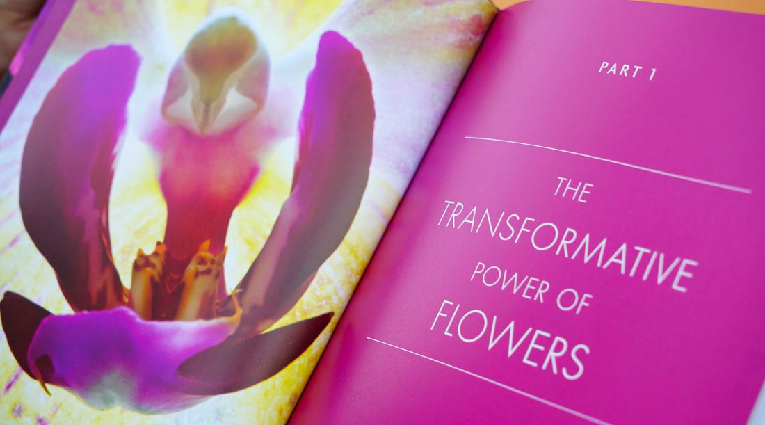 The Transformative Power of Flowers