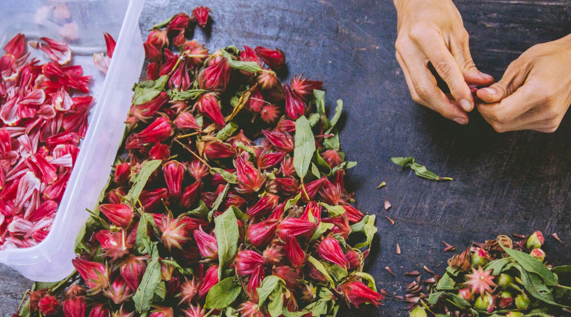 DIY: FLORAL DYEING WITH HIBISCUS PETALS