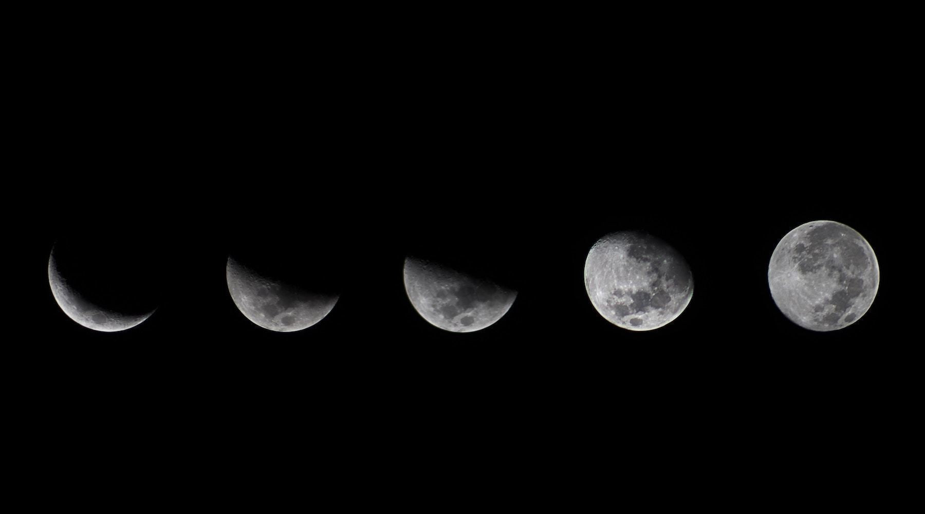NOV 2018: Moonshine Lunar Forecast