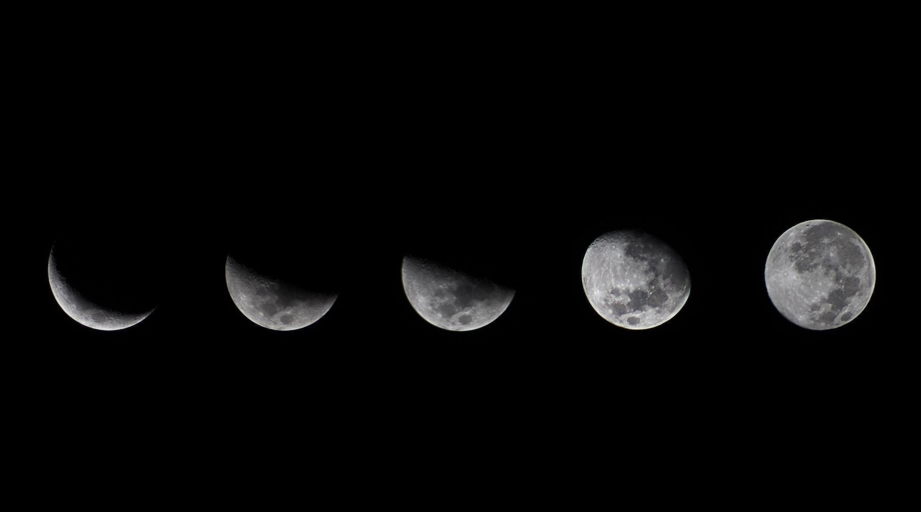 FEB 2019: Moonshine Lunar Forecast
