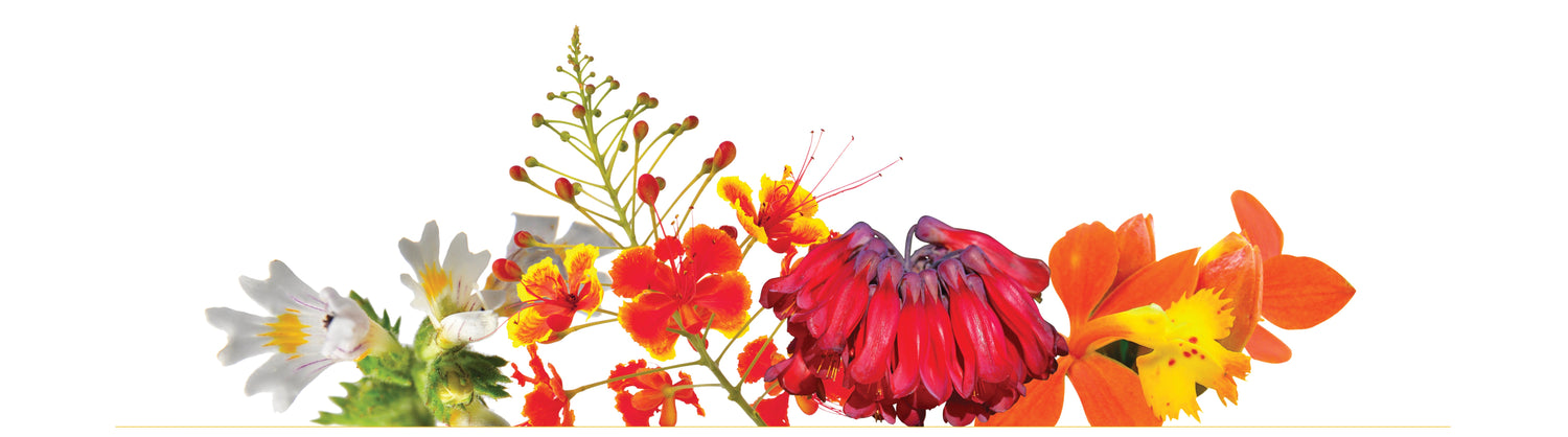 Flowers symbolizing Inspired Action