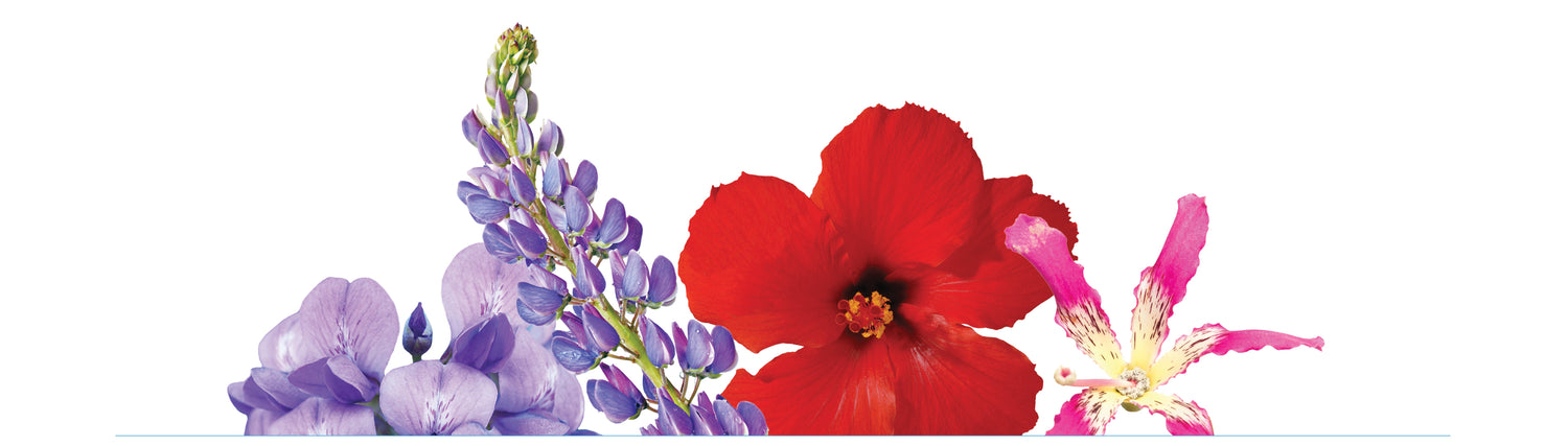 Flowers symbolizing Inner Peace