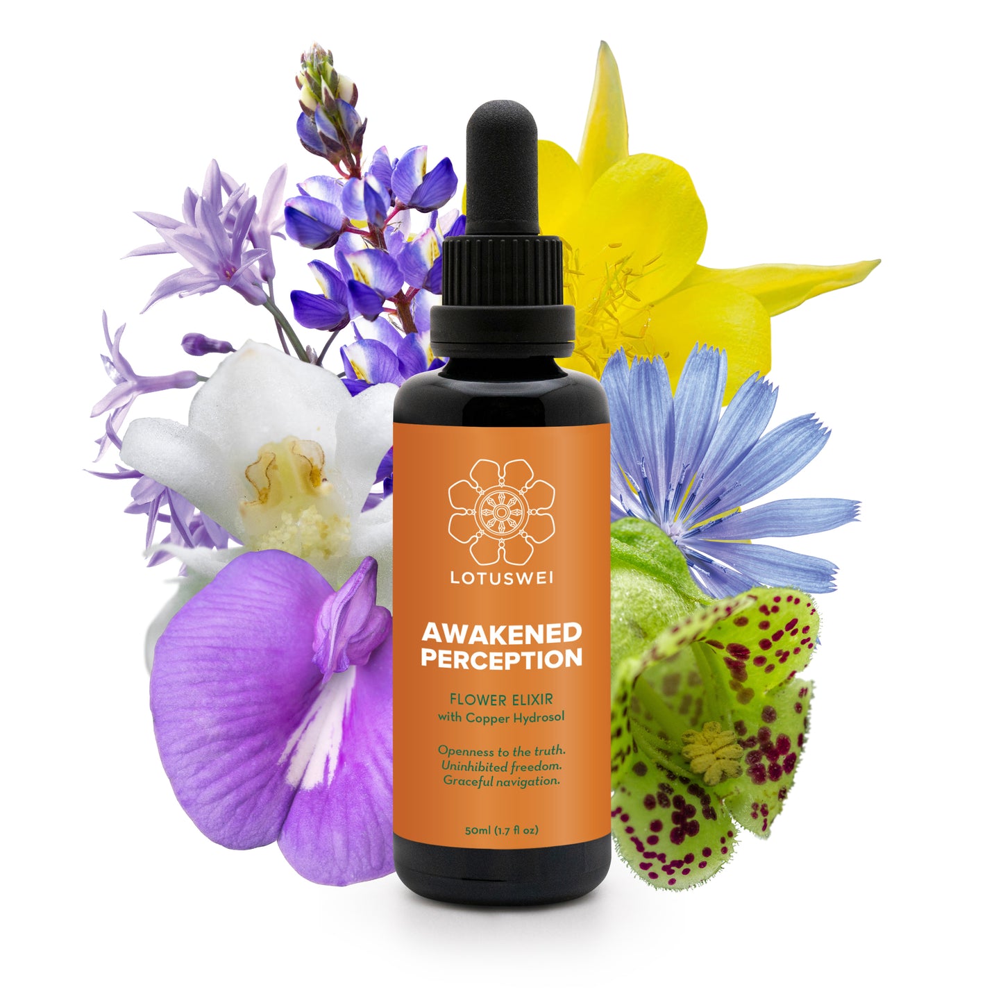 AWAKENED PERCEPTION - ELIXIRS